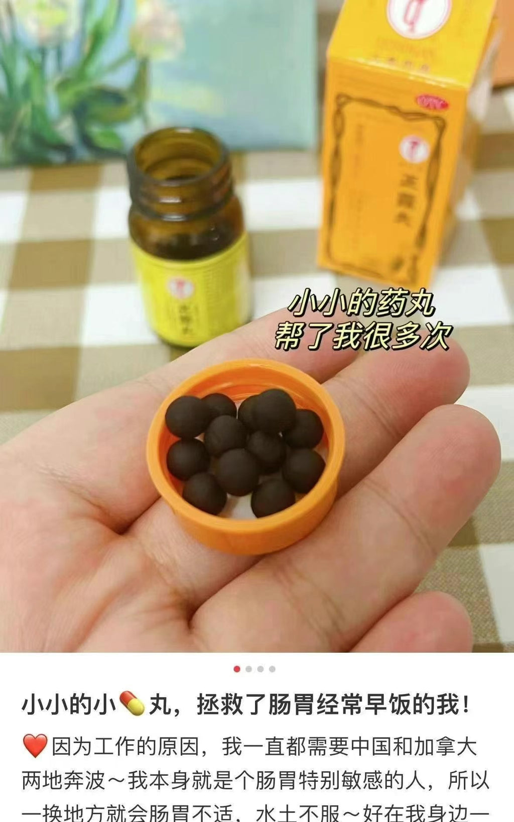 Made In Japan Intestine