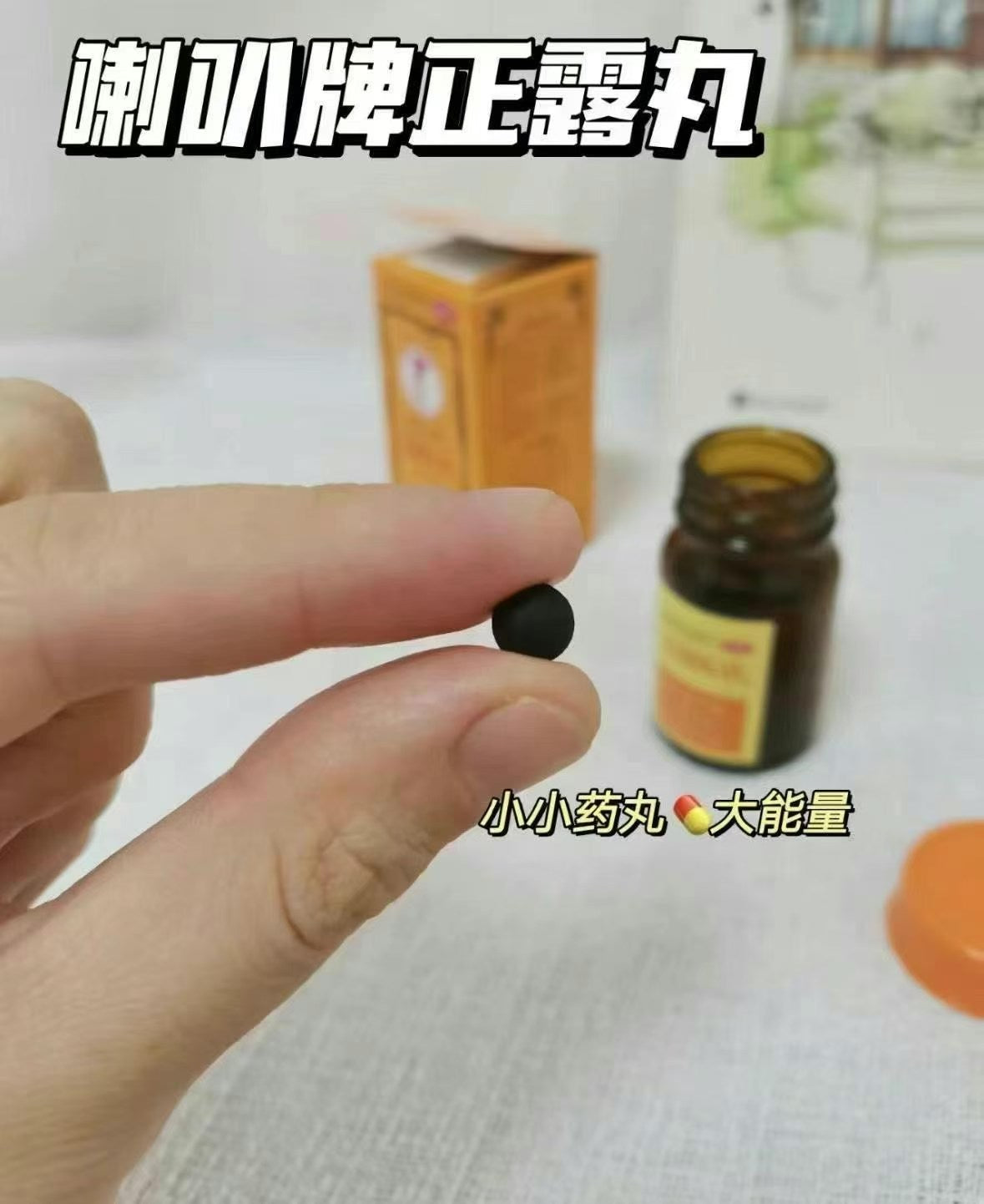 Made In Japan Intestine